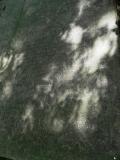 image of grave number 357744